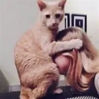  massaggio-erotico
